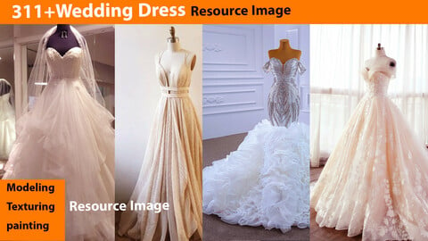 311+Wedding Dress Resource Image