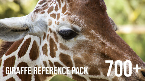 700+ Giraffe - Pack Références