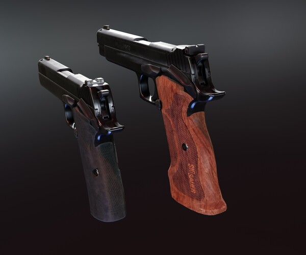 ArtStation Sig P210 Carry And Target Game Assets   File 