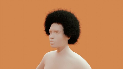 Afro Black Hair 3D model