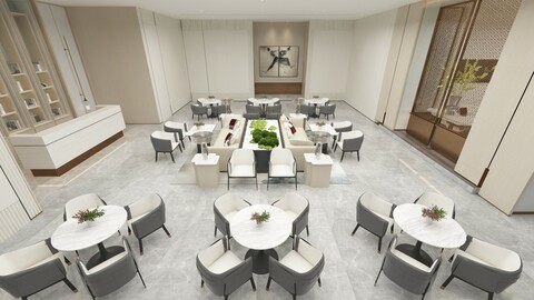 VIP Business Lounge - 002