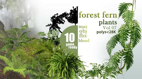 10 forest fern plants VOL 07