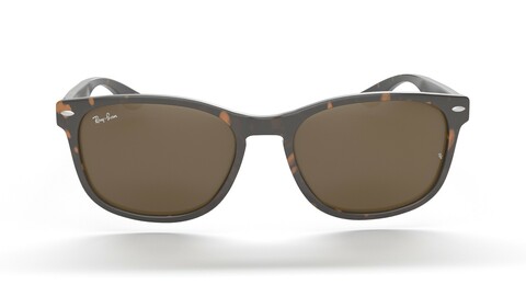 Ray Ban Non-Polarized Striped Gradient Brown Classic RB2184 Sunglass