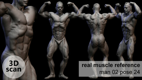 3D scan real muscleanatomy Man02 pose 24