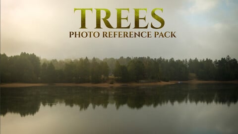 Trees- Photo Reference Pack- 427 JPEGs