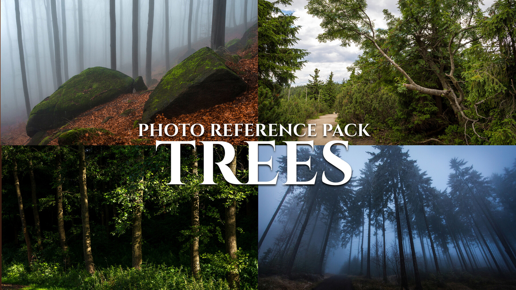 ArtStation Trees Photo Reference Pack 427 JPEGs Resources