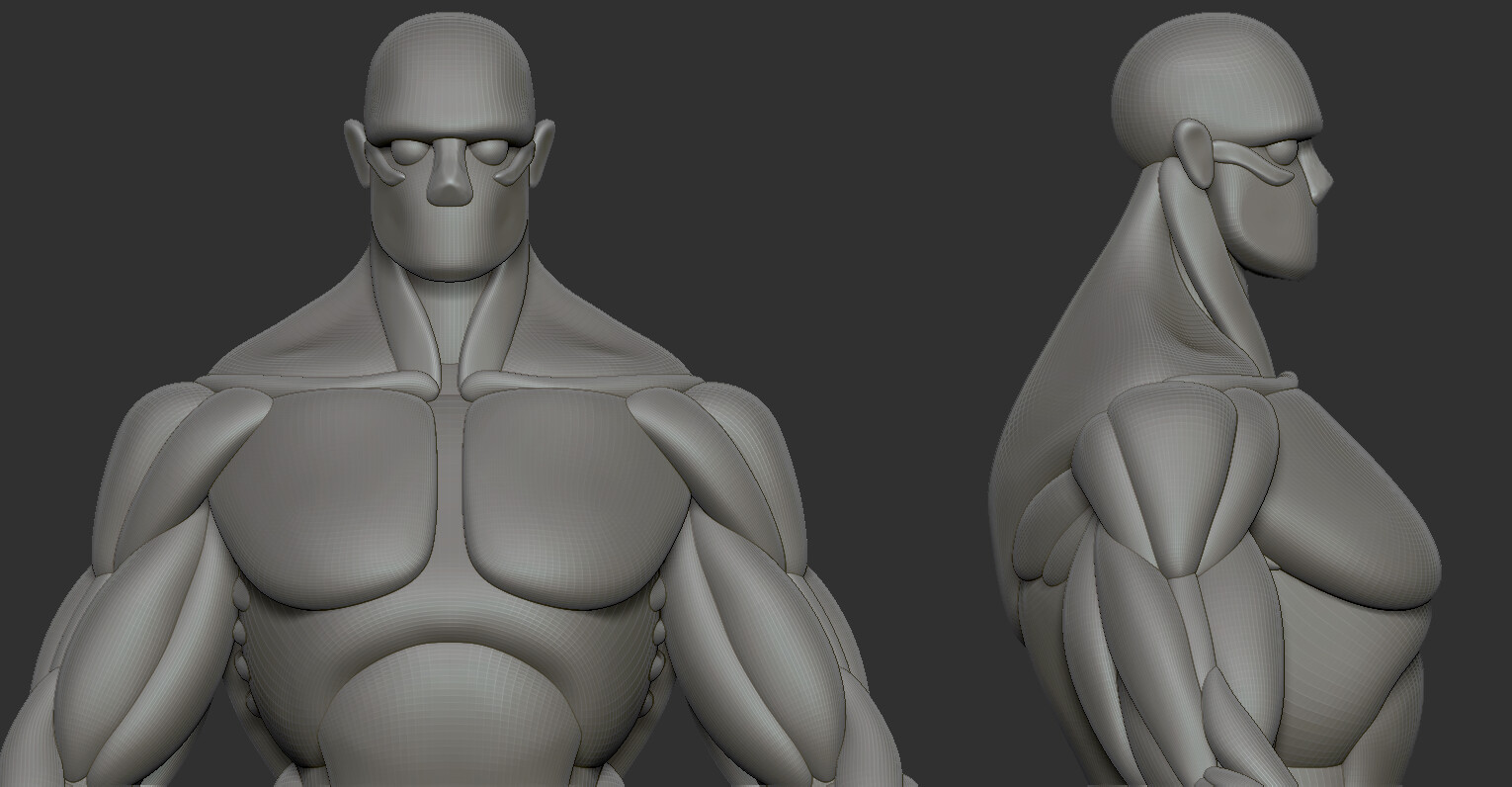 Female Custom Base Mesh 3d Model