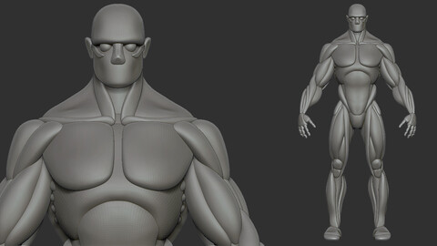 Strong character base mesh