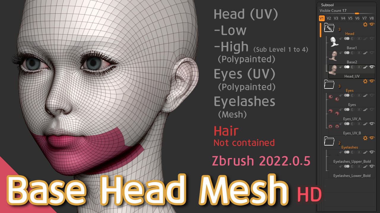 ArtStation - Head Base Mesh (HD) | Resources