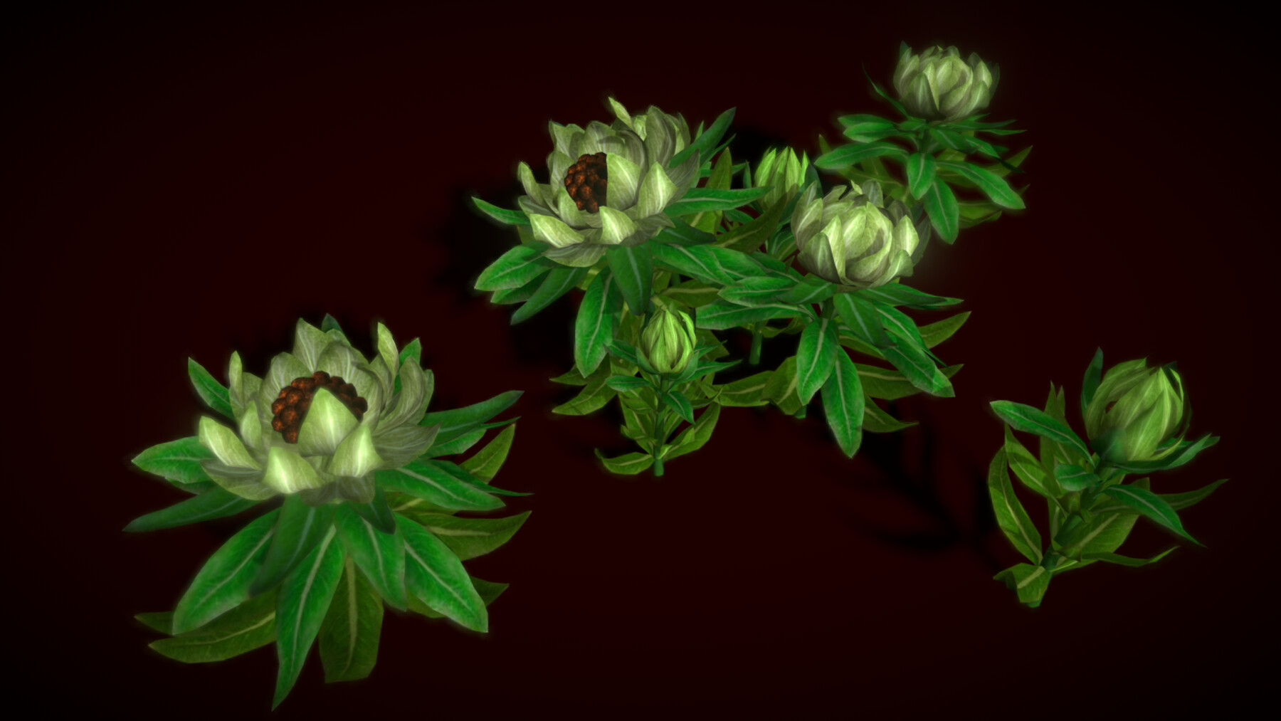 ArtStation - Flower Saussurea Involucrata | Game Assets