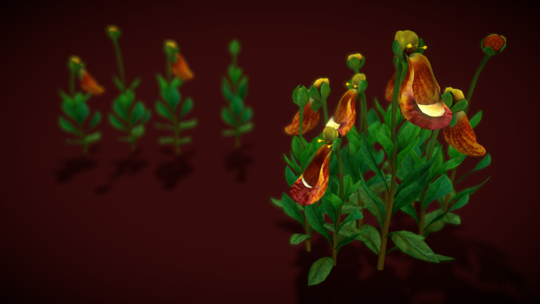 ArtStation Flower Calceolaria Uniflora Game Assets