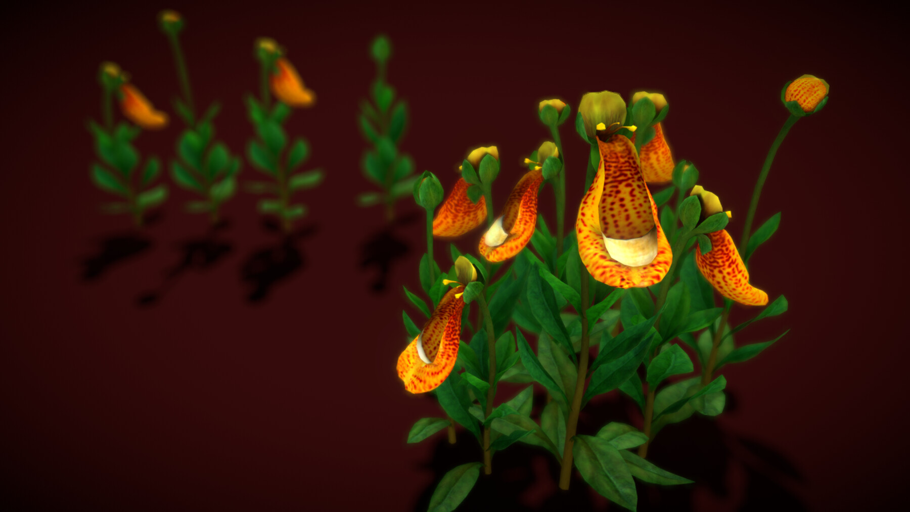 ArtStation Flower Calceolaria Uniflora Game Assets