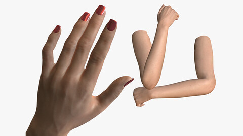 4K Realistic Woman 3D Hands left right with 5 Lods Low-poly 3D model