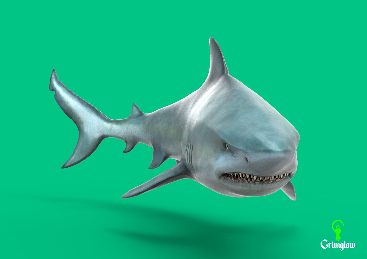 Artstation - Bull Shark 