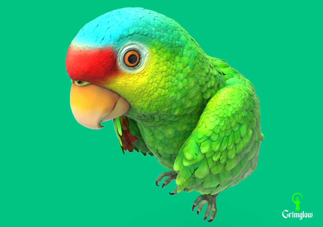 ArtStation - Red-lored parrot | Resources