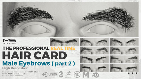 Male Eyebrows Part 2 - Professional Realtime Hair card