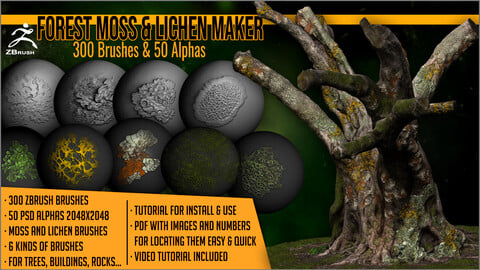 Forest Moss And Lichen Maker 300 ZBrush Brushes And 50 Alphas