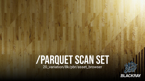 Parquet scan set/20_variation/8k/pbr/asset_browser