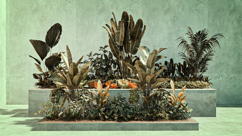Complex of garden plants 06