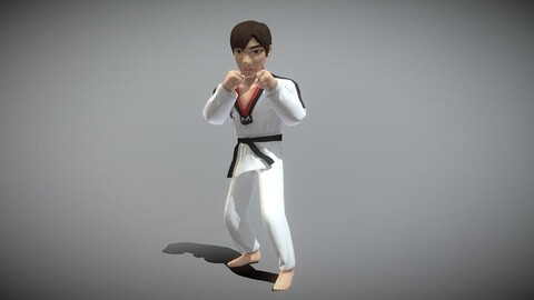 Taekwondo Player