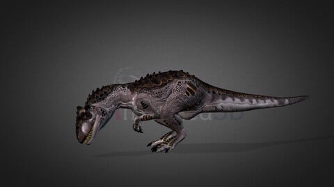 Allosaurus1-Cuddles