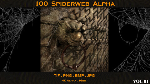 100 Spiderweb  Alpha