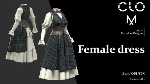 Female dress   / Marvelous Designer/Clo3D project file + OBJ