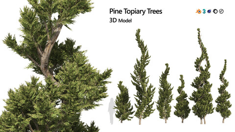 6 conifer topiary trees