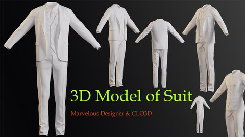 3D Model Of Suit