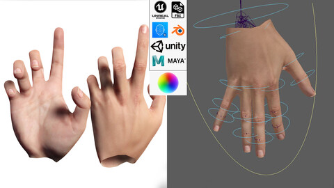 Realistic Hand VR Low poly model