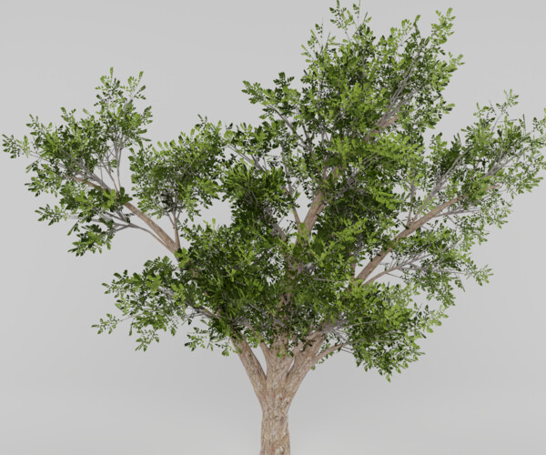 product thumbnail 22