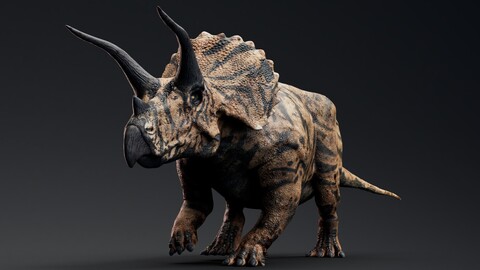 Triceratops Real Dinosaur Series