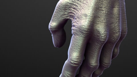 ARM13 high poly sculpt