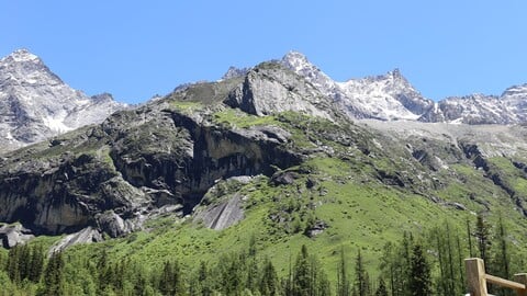 Mountains of western China——Snow mountain、dead tree、meadow picture reference package