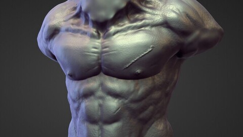 TORSO1 high poly sculpt