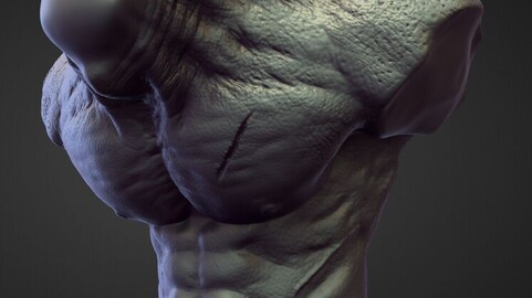 TORSO2 high poly sculpt