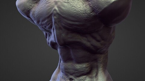 TORSO4 high poly sculpt