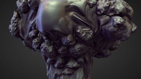 TORSO6 high poly sculpt