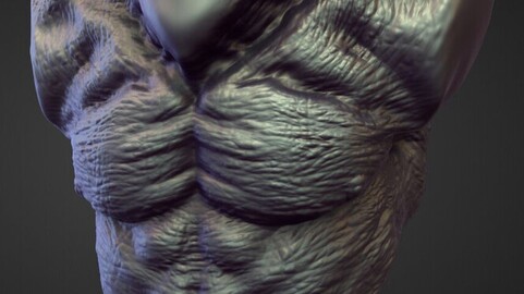 TORSO10 high poly sculpt