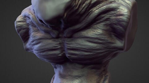 TORSO13 high poly sculpt