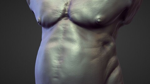 TORSO15 high poly sculpt