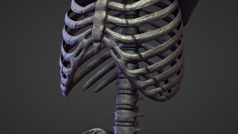 TORSO20 high poly sculpt