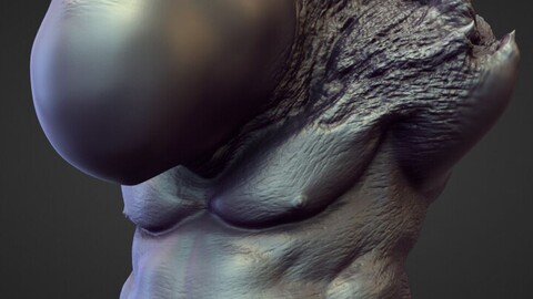 TORSO37 high poly sculpt