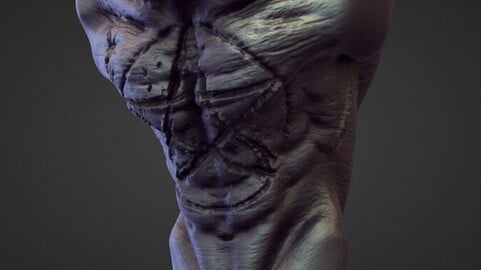 TORSO38 high poly sculpt