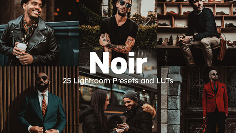 25 Noir Lightroom Presets and LUTs