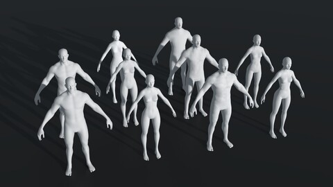Human Body Base Mesh 28 Animations 10 3D Models Pack