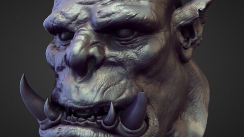 HEAD1 high poly sculpt