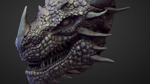 HEAD5 high poly sculpt