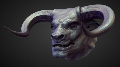 HEAD7 high poly sculpt