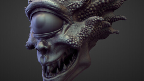 HEAD22 high poly sculpt